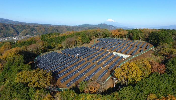 Transição-Energética-placas-solares