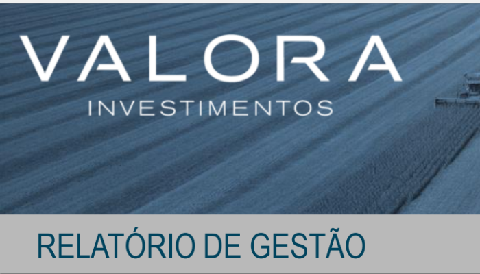 relatorio-gerencial-vgia11