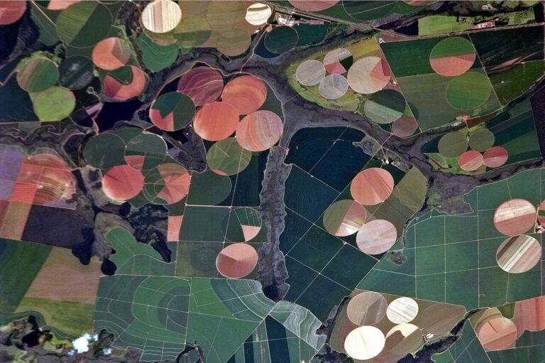 O Brasil é a Fazenda do Mundo?