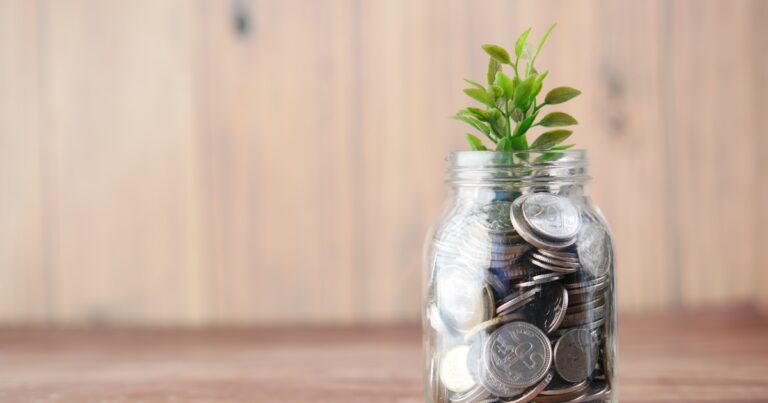 Tesouro IPCA+ ou Tesouro Selic: qual escolher hoje?