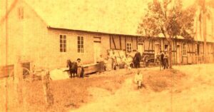 A história da Gerdau: da fábrica de pregos ao gigante global do aço