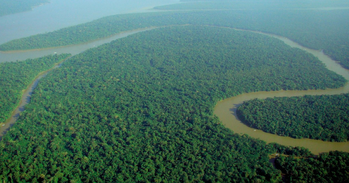 Vista aérea da floresta amazônica, origem de parte dos ingredientes usados na linha Ekos da Natura