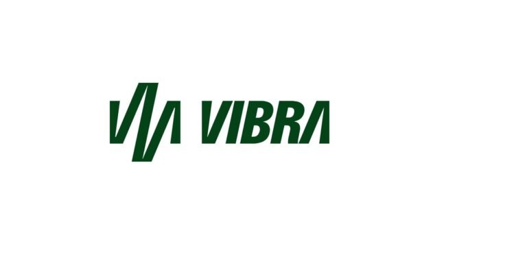 A história da Vibra Energia: a estatal que ajudou a desmontar a Ipiranga e depois foi vendida pelo próprio governo