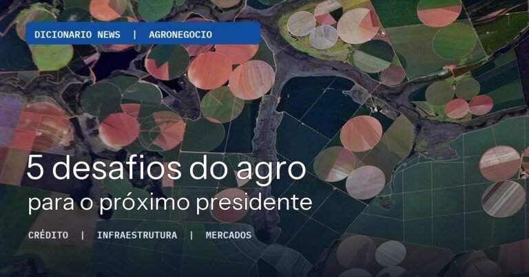 Campos agrícolas em Minas Gerais ilustram desafios de infraestrutura e políticas públicas do agronegócio
